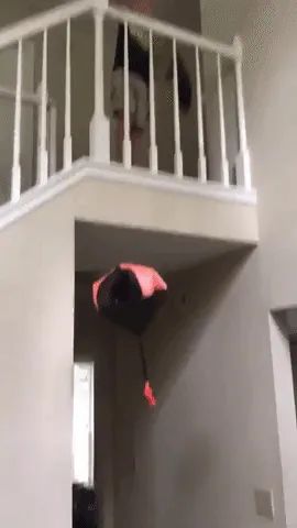 A reviewer's video showing the red parachute toy gracefully gliding down after being tossed from the top of the stairs