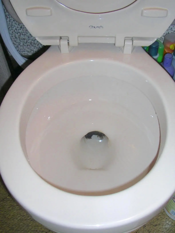 An after photo showing the now clean toilet bowl