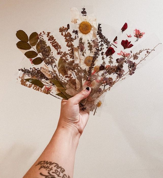 Transparent bookmarks featuring a variety of pressed flowers inside
