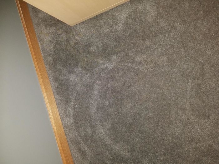 A reviewer's carpet shown under normal lighting