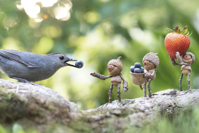 An image of acorn people feeding a bird