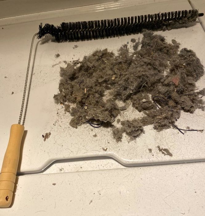 A reviewer shares a photo of the dryer lint brush alongside a heap of lint and dust collected from their dryer.