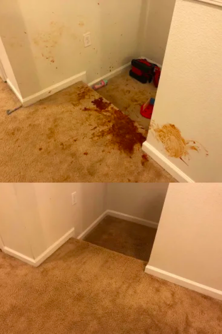 A reviewer's carpet, stained with sauce, then restored to its clean state after using the product.