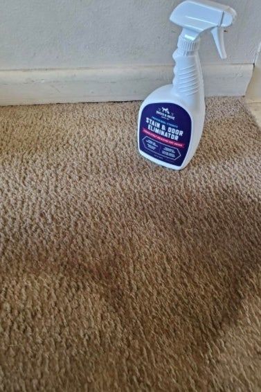A carpet with a visible stain before treatment with a stain eliminator.