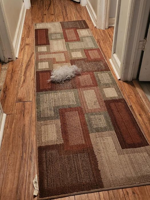 a reviewer’s hallway rug with a pile of pet hair that’s been swept up