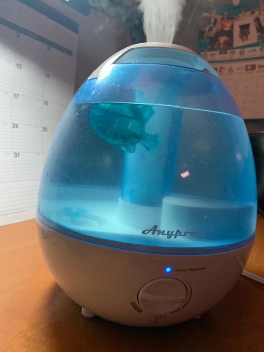The fish swimming around a humidifier.