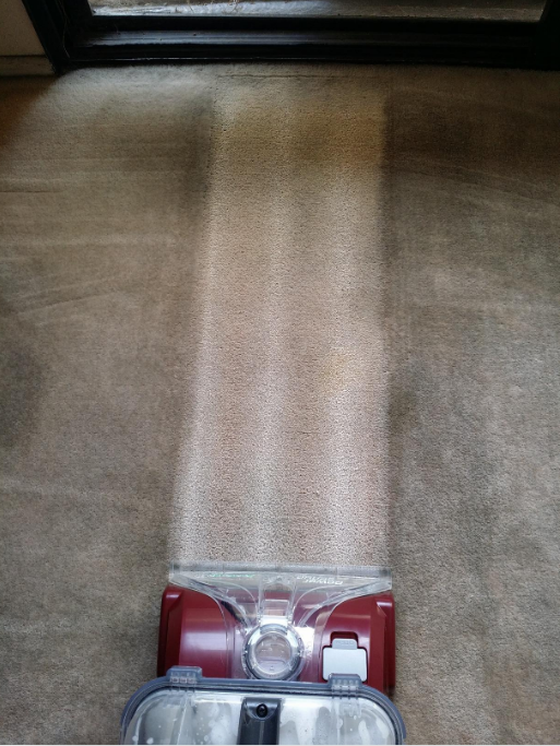A vacuum applying the cleaner, leaving the carpet visibly cleaner in its path