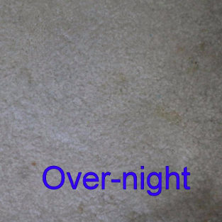 A reviewer's photo showing the stain completely gone after leaving the pad on overnight