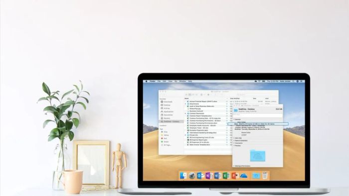 Máy tính cài Windows 10, Macbook.