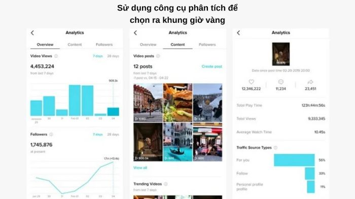 Dựa trên người theo dõi nhận được nhiều lượt like, tim, bạn có thể phân tích khung giờ vàng đăng TikTok để đạt hiệu quả cao.