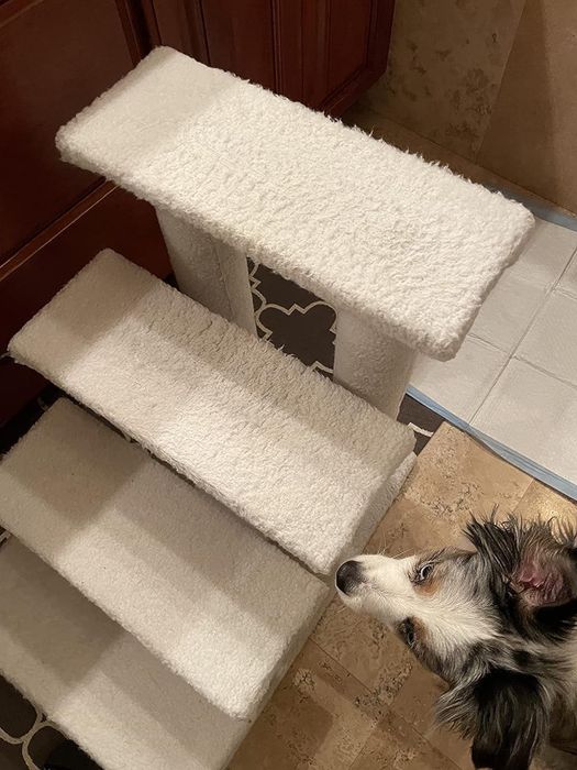 Dog stairs completely spotless after cleaning