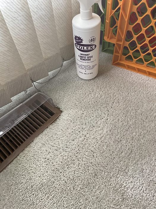 after image showing the beige carpet completely spotless and clean