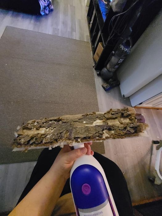 A reviewer is holding a dirty mop head.