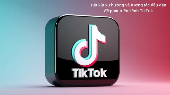 Đăng tải video đều đặn và liên tục để duy trì sự phát triển của kênh TikTok