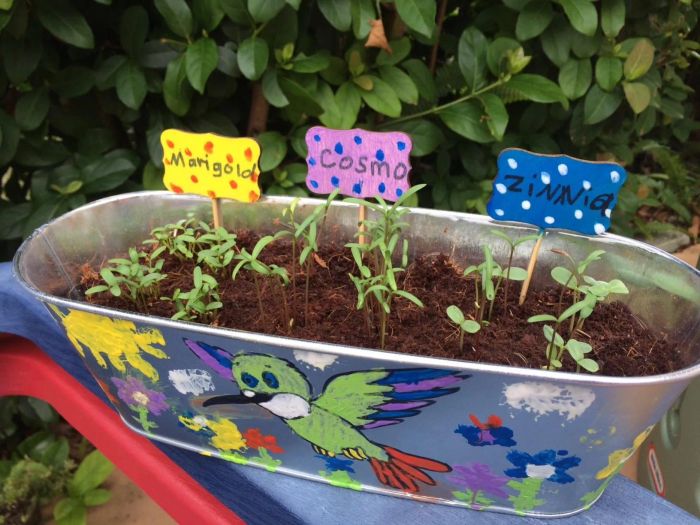 A photo from the reviewer showing the decorated planter