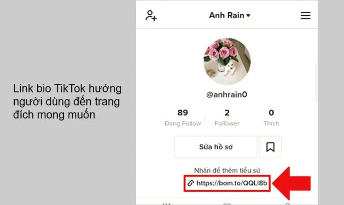 Link bio TikTok là gì?