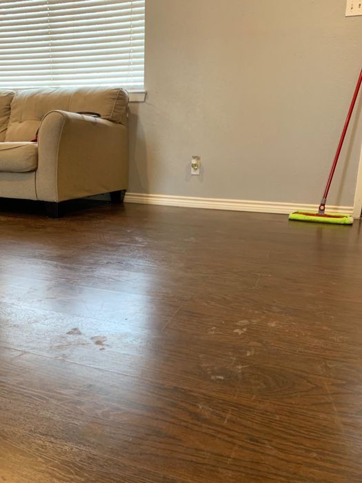 A reviewer's floor showing paw marks and residue.