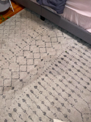 The same rug, now spotless, with no visible stain.