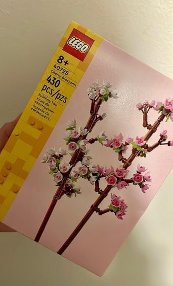 A hand holding a box of the LEGO flower bouquet set, ready for assembly.