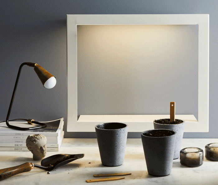 A GIF of a model watering plants inside a wall-mounted grow light, which eventually bloom into vibrant flowers over time.