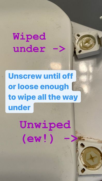 The back of a toilet seat with screws loosened enough to clean beneath them; one side has been wiped clean, while the other side still shows the accumulated gunk.