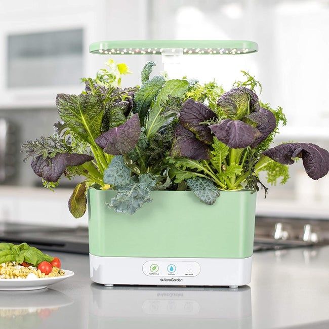A light green AeroGarden Harvest sitting on a kitchen counter.