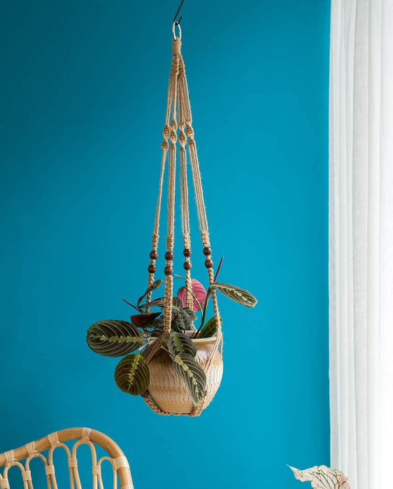 A brown plant hanger suspended in a blue room, bringing warmth and charm to the space.