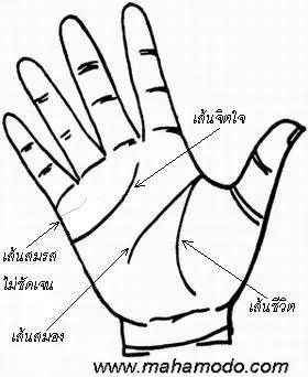 การสังเกตลายมือ