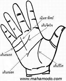 การสังเกตลายมือ