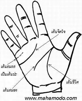 การสังเกตลายมือ
