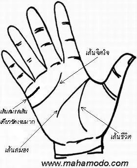 การสังเกตลายมือ