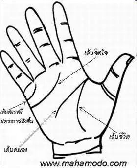 การสังเกตลายมือ