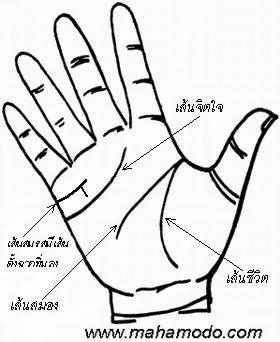 การสังเกตลายมือ