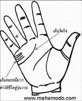 การสังเกตลายมือ