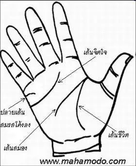 การสังเกตลายมือ