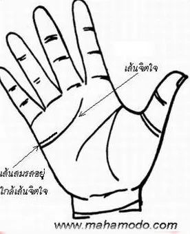 การสังเกตลายมือ