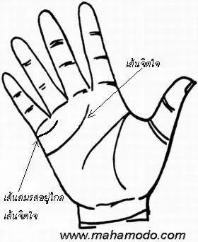 การสังเกตลายมือ