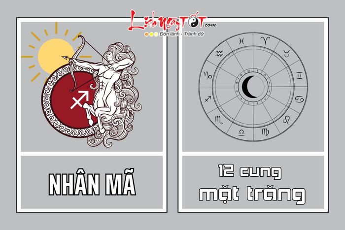 Sự kết hợp giữa Mặt trời Nhân Mã và 12 cung Mặt trăng mang đến một sự pha trộn hoàn hảo của tính cách và năng lượng.