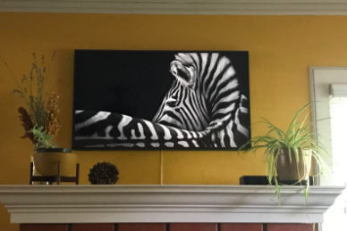 A reviewer shows the TV positioned above a mantel, with an exquisite photograph of a zebra shown on the screen.