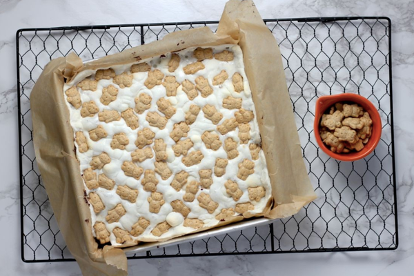 The completed dessert — S'Mores Brownies