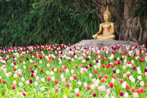 ฝันเห็นพระพุทธรูปโบราณท่านว่ามีบุญ