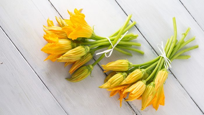Zucchini Blossoms Resting on a Wooden Surface
