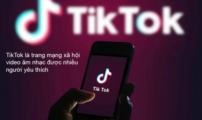Hướng dẫn cách xóa video trên TikTok của chính bạn và của người khác