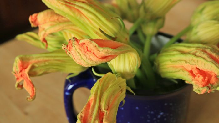 A handful of squash blossoms.