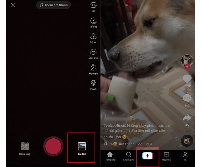 Hướng dẫn chi tiết 3 cách khôi phục video đã đăng trên TikTok bị xoá