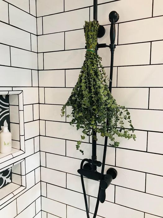 A bundle of eucalyptus hanging in the shower.