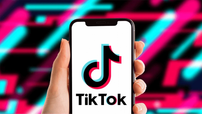 Thông qua sự hỗ trợ của đội ngũ TikTok