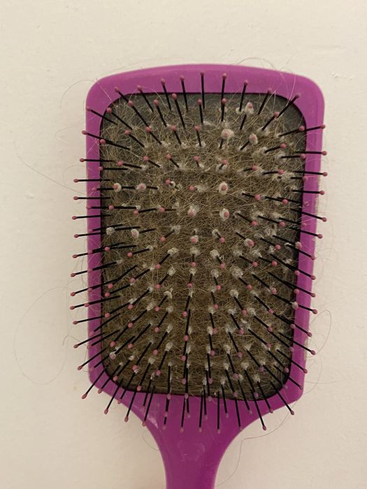 A reviewer's hairbrush covered in dirt and hair