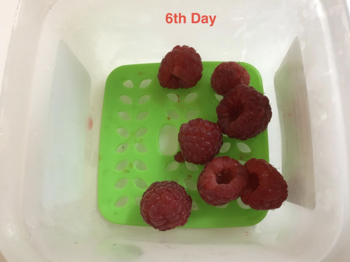 Raspberries in the container, still as fresh on day eight.