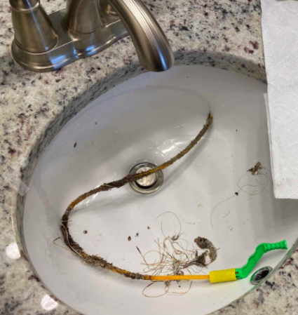A reviewer demonstrates hair and debris pulled from a bathroom sink using the FlexiSnake Drain Millipede